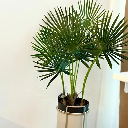 Simphony Apartamento